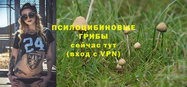 скорость Алзамай