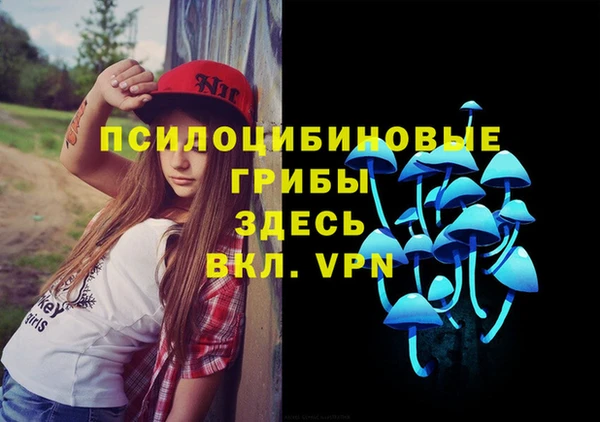 скорость Алзамай