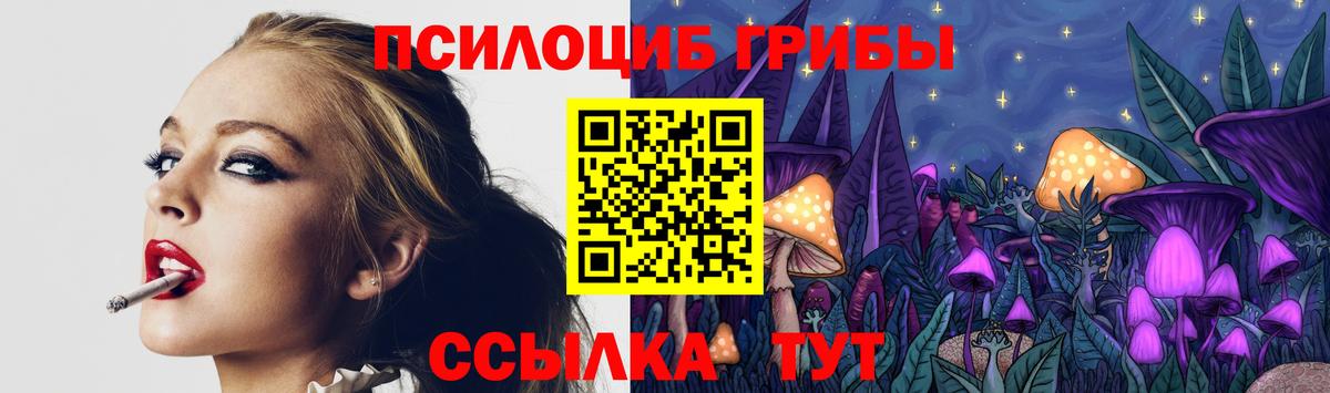 Туймазы  Галлюциногенные грибы MAGIC MUSHROOMS  наркошоп  Вход с VPN 